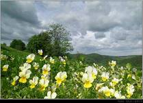 Beskid Makowski