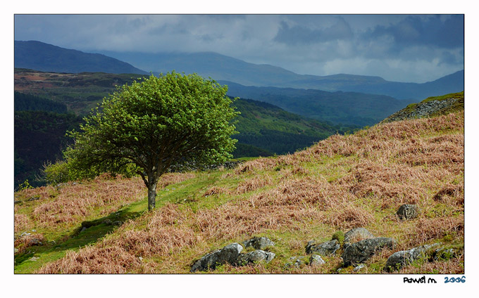 Snowdonia