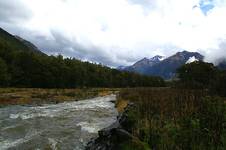 fiordland