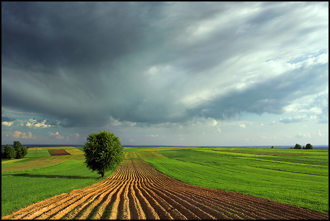 Świętokrzyskie cd... Wygiełzów