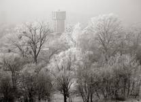 Pocztówka z Festung Breslau