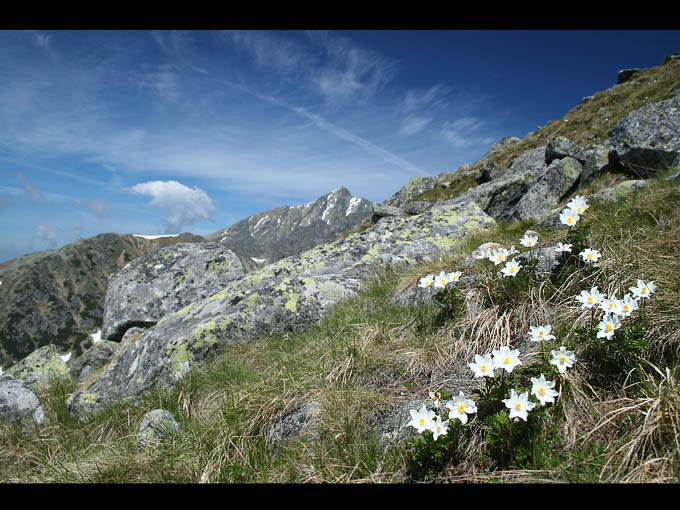 Słowackie Tatry