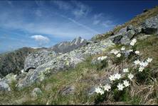 Słowackie Tatry