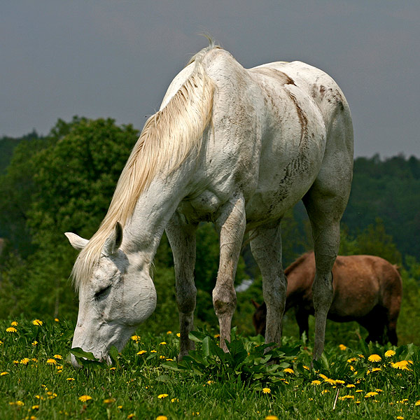 przed burzą