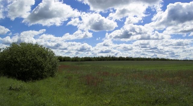 wiejskie pejzaże