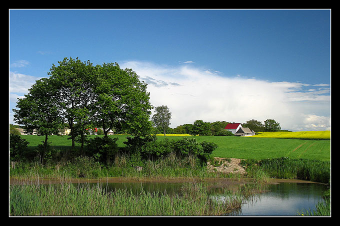 Mały biały domek