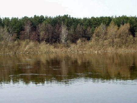 Dolina Bugu, okolice Mielnika