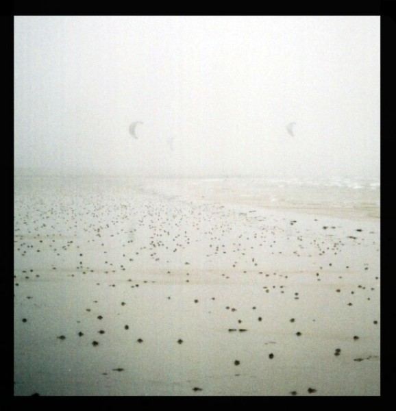 Kiting in the Fog