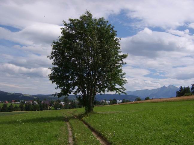 Na Podhalu...(a Spisz już niedaleko...)