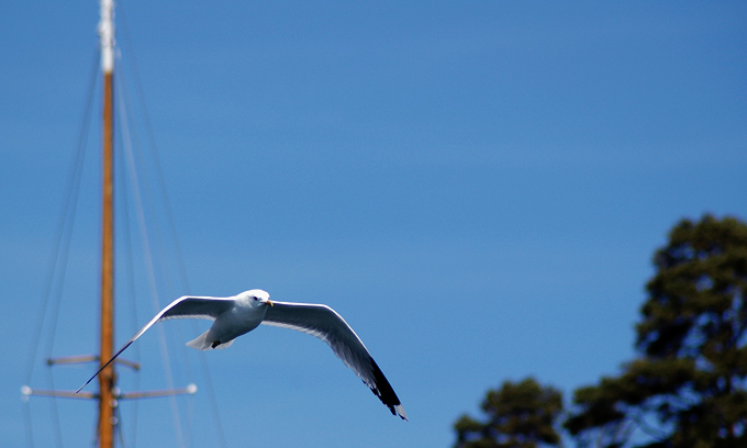 Mariehamn