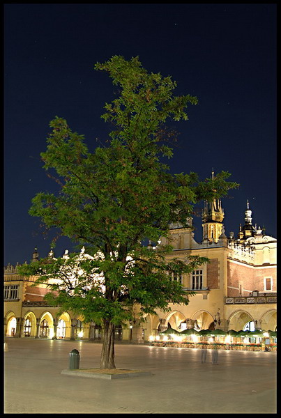 Kraków nocą