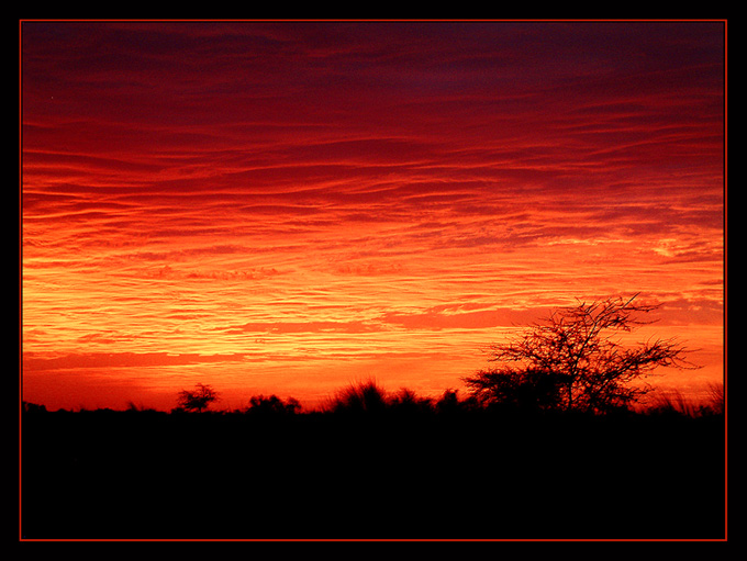 sunset over african land