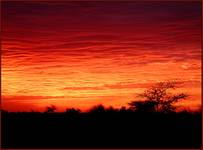 sunset over african land