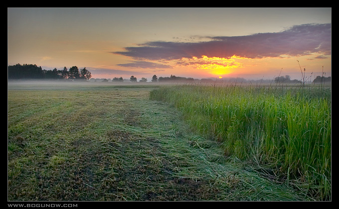 Nad Biebrzą