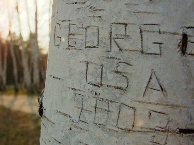 george usa