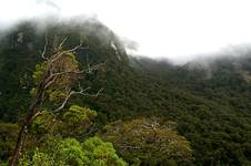 fiordland