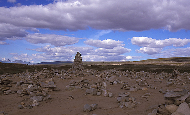 koło polarne