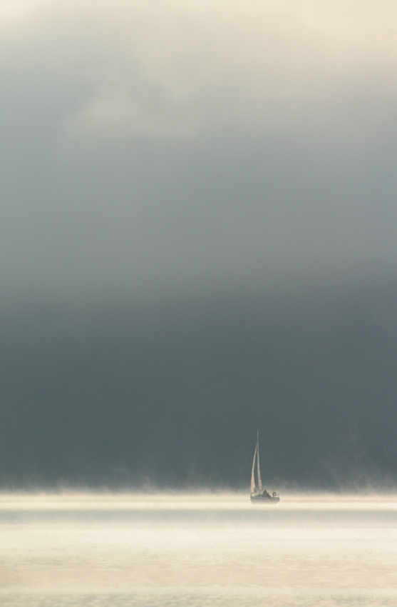 catcher in the mist