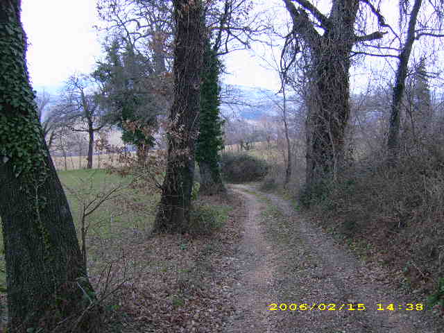 Ewcia75
