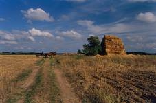 Po żniwach - sierpień 2006