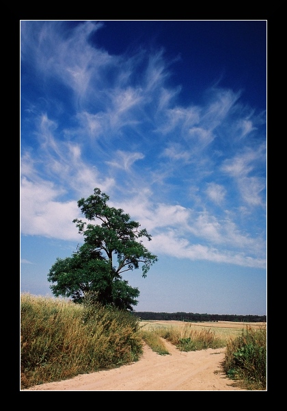 Cirrusy idą