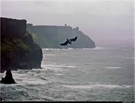 Cliffs of Moher