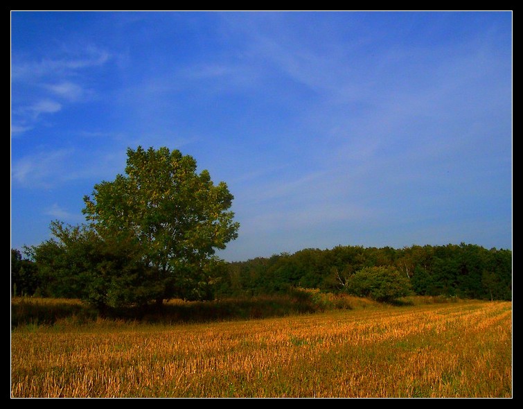 Sielanka opolszczyźniana