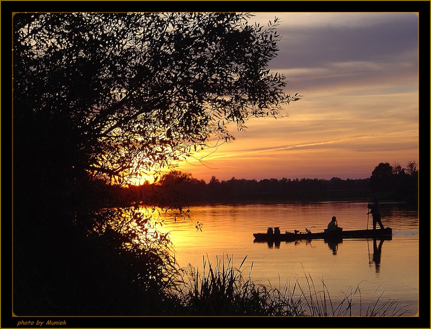 NAREW