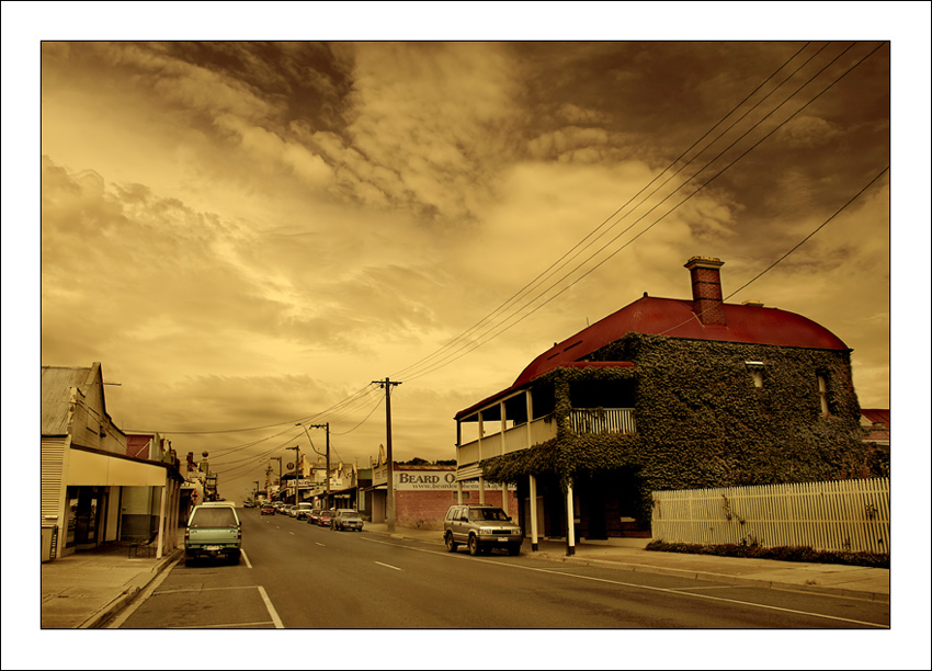 senna sepia...