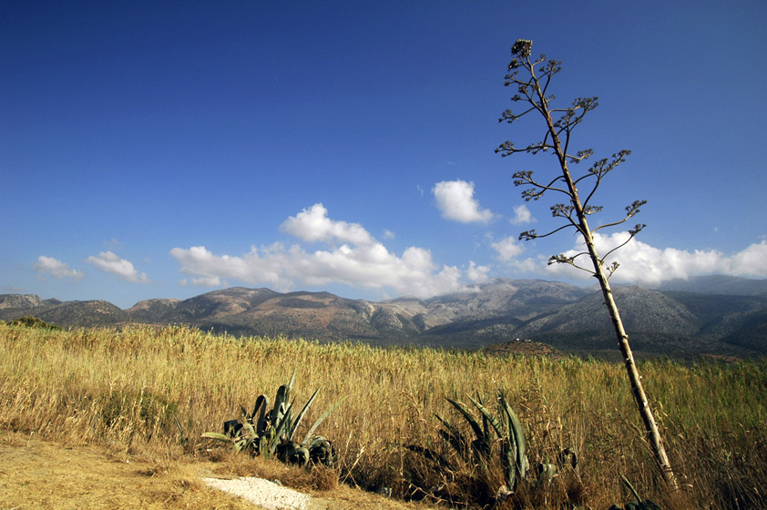 Malia - Kreta