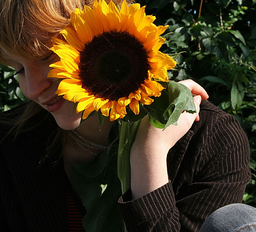 SunflowerLady 2