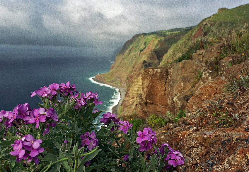 Ponta do Pargo