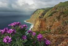 Ponta do Pargo