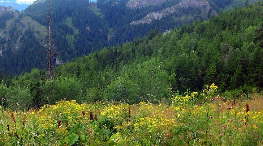 Tatry