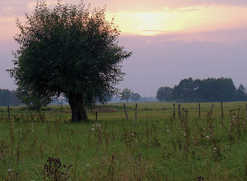 Nadbużański krajobraz (2)