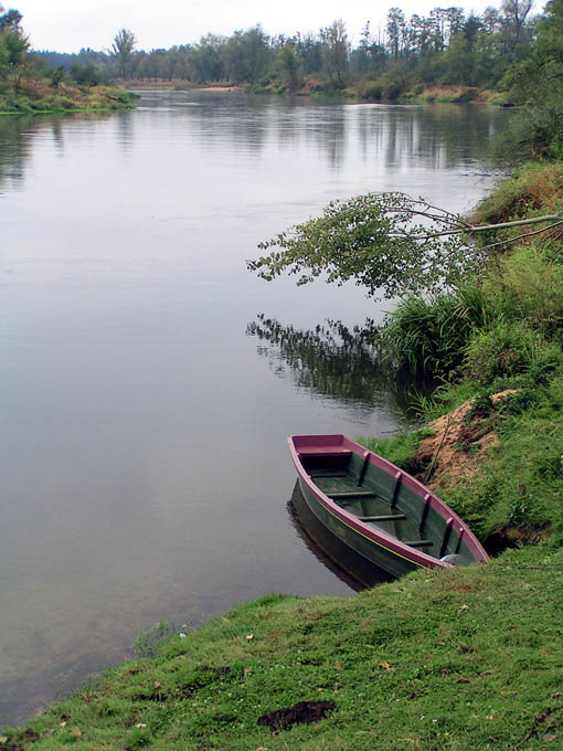 Cisza nad Wartą