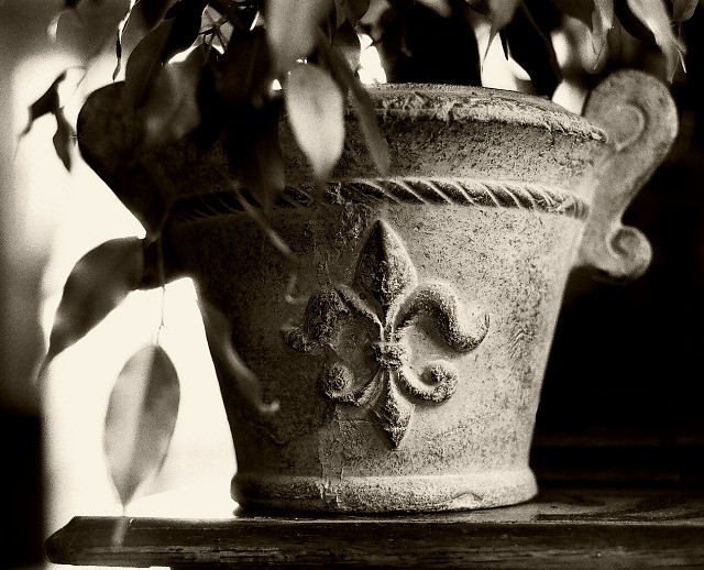 Un vieux pot sur table en poussiere