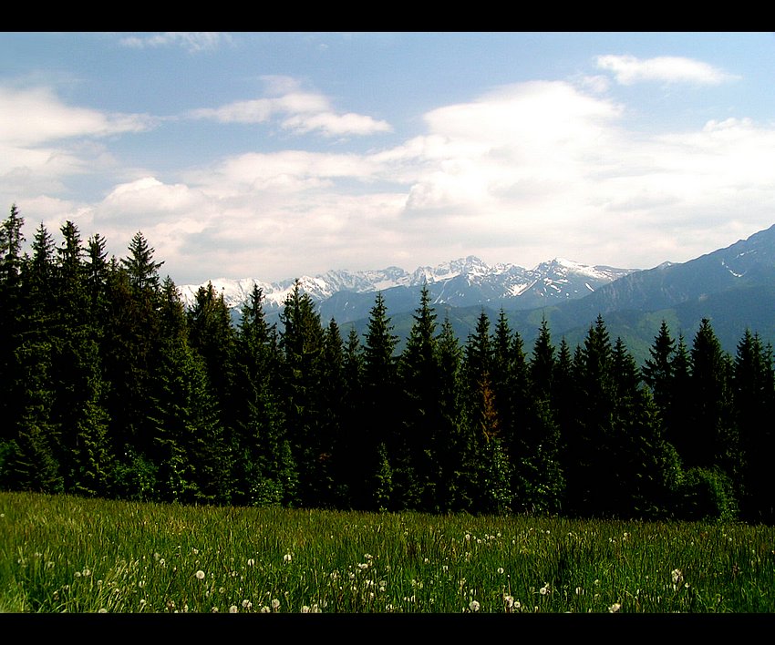 Tatry