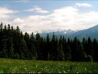 Tatry