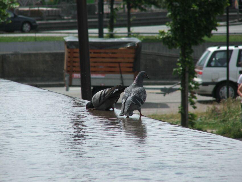 kąpiel