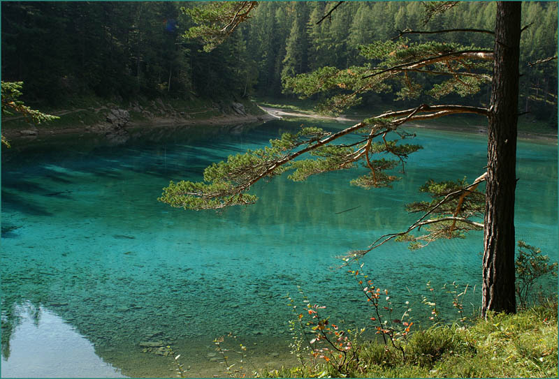 Grüner See (Zielone jezioro)