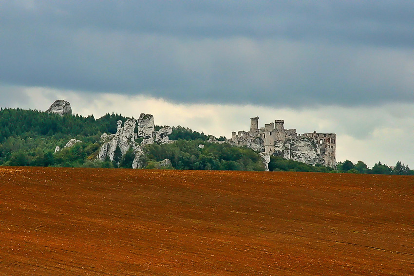 Ogrodzieniec