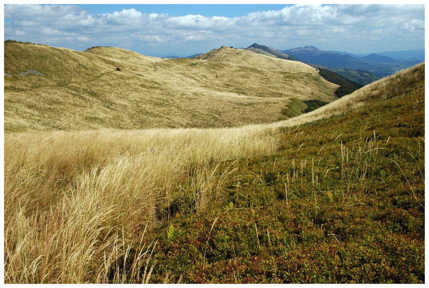 Bieszczady