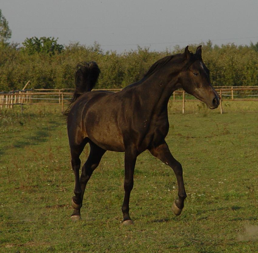 Piękny naturalnie