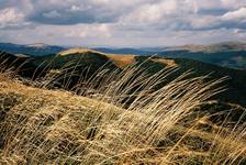 Bieszczady #3