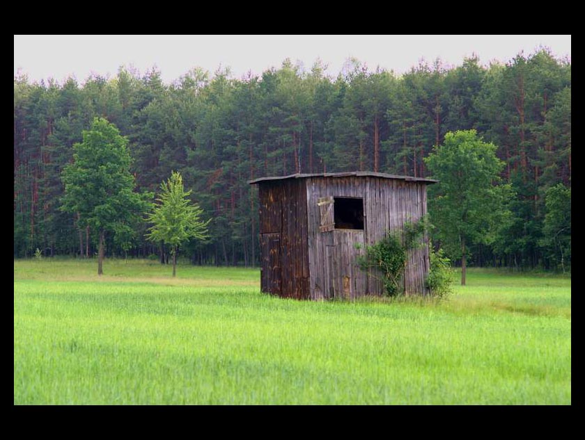 zwykła polna szopa