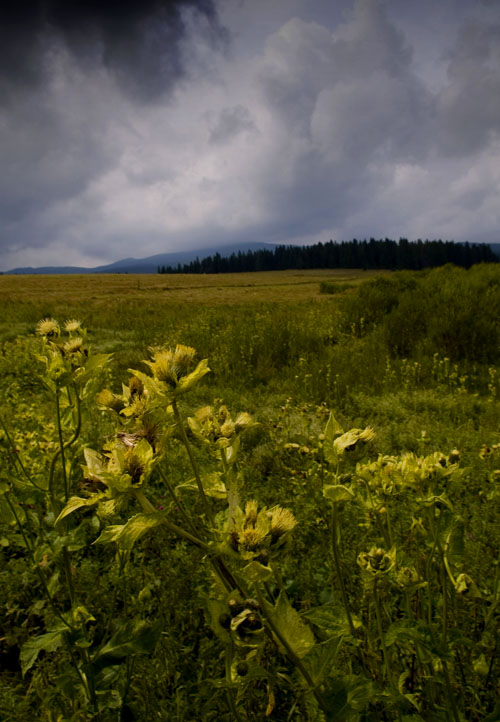 Bieszczady Part 5