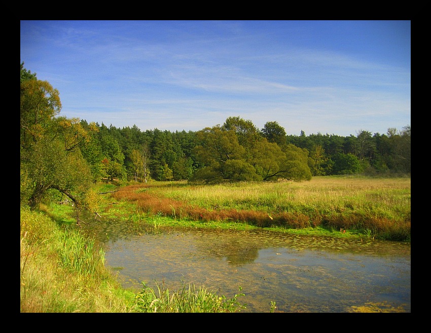 Wielkopolski Park Narodowy