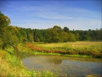 Wielkopolski Park Narodowy