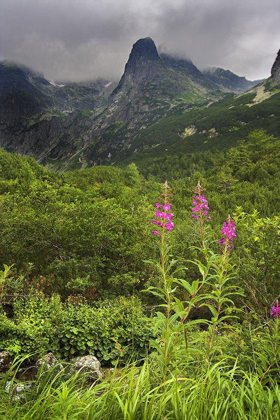 Tatry Słowackie